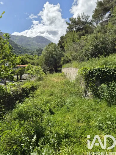 Land in Gorbio (06500)