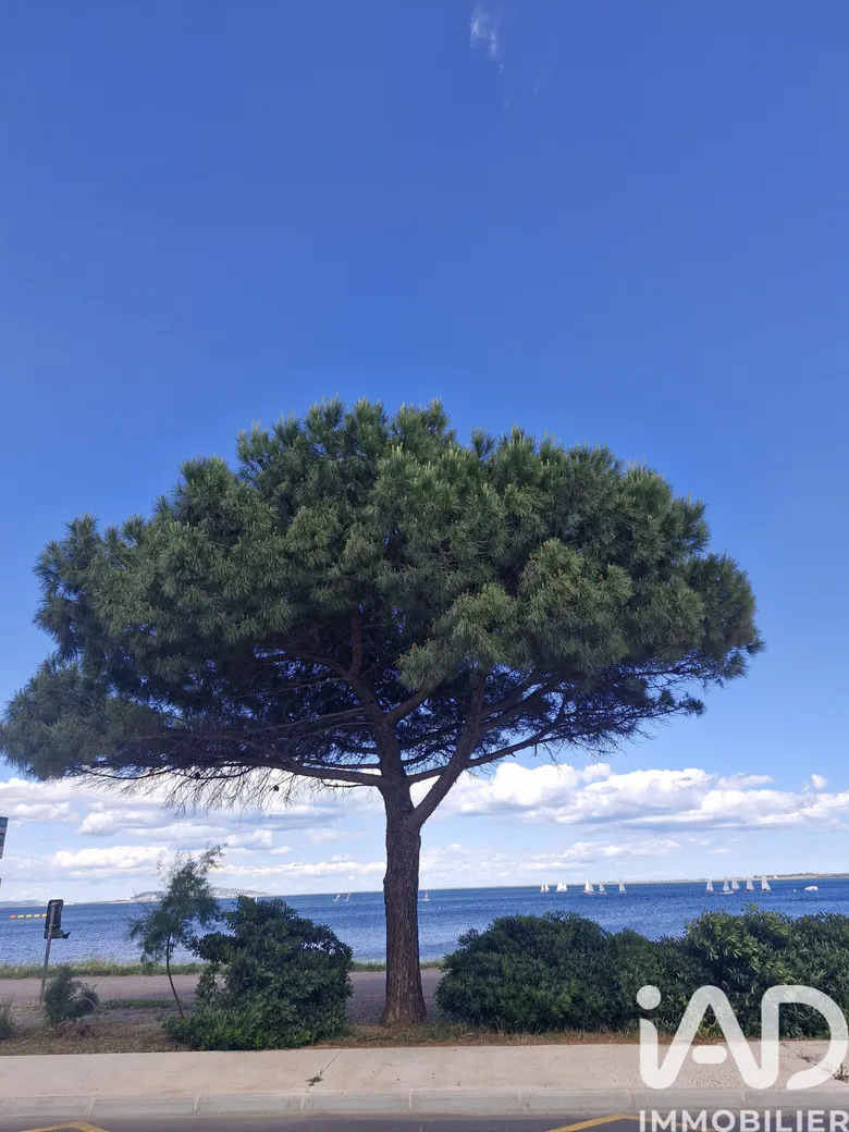 Maison 3 pièces 33 m² · à Marseillan · 32,8 m² · 179 000 €