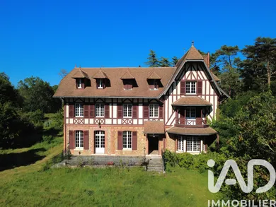 Manor in Mennetou-sur-Cher (41320)