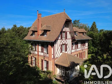 Manor in Mennetou-sur-Cher (41320)