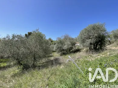 Terrain à bâtir à Valensole (04210)