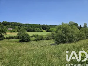 Terrain loisirs à Saint Pierre de chevillé  (72500)