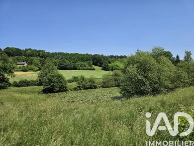 Terrain loisirs à Saint Pierre de chevillé (72500)
