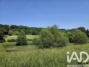 Terrain loisirs à Saint Pierre de chevillé  (72500)
