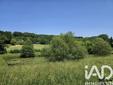 Terrain loisirs à Saint Pierre de chevillé (72500)