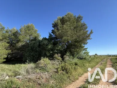 Farm land in Pinet (34850)