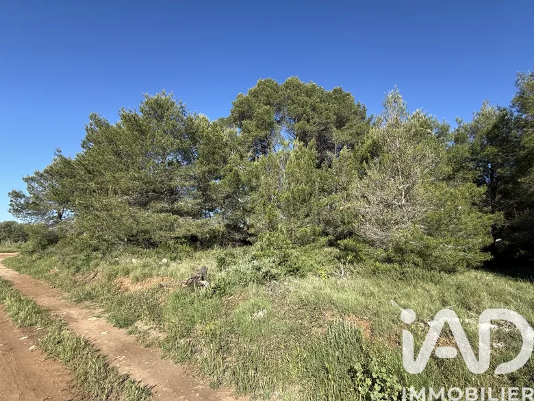 Terrain agricole à Pinet (34850) · 13 000 €