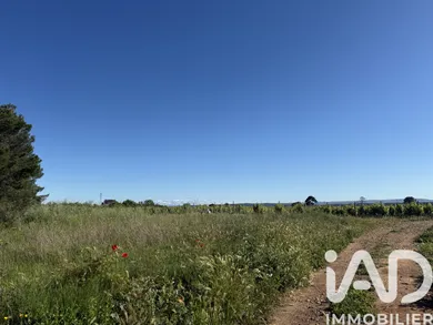 Farm land in Pinet (34850)