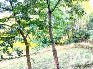 Building plot in Montjardin (11230)