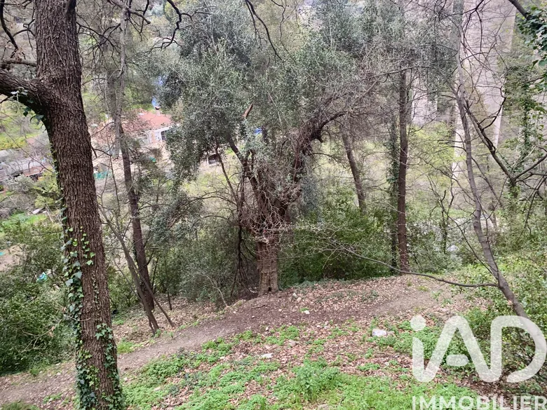 Terrain à Gorbio (06500) · 99 000 €