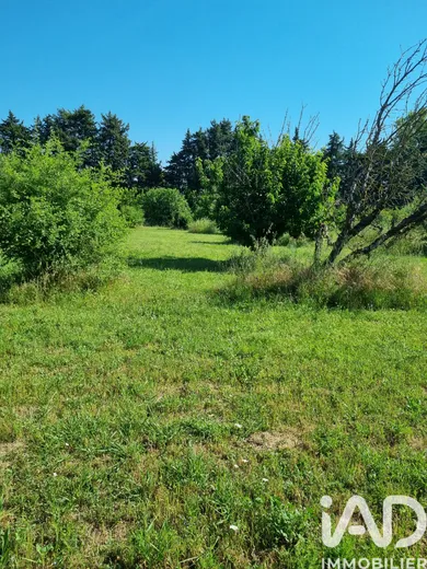 Terrain à L ISLE SUR LA SORGUE (84800)