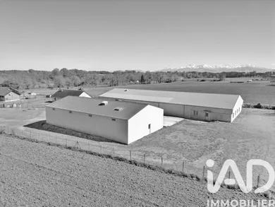 Commercial walls in Luquet (65320)