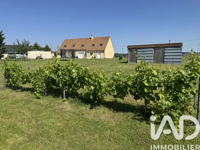 Maison traditionnelle à Pruillé-l'Éguillé (72150)