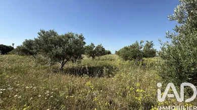 Terrain agricole à Paulhan (34230)