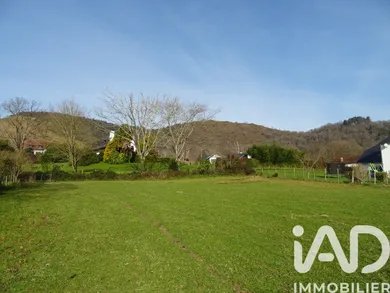 Terrain à Mauléon-Licharre (64130)