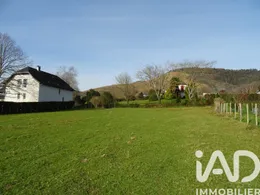 Terrain à Mauléon-Licharre (64130)