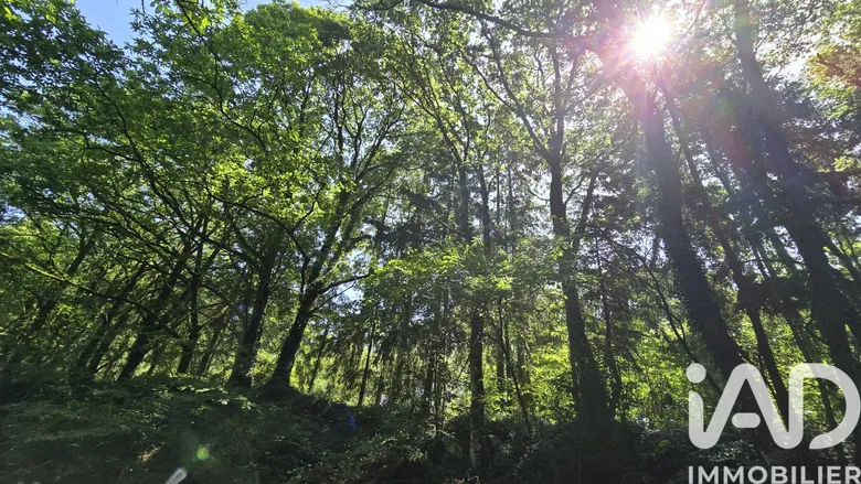 Terrain loisirs à Vieux-Vy-sur-Couesnon (35490) · 65 000 €