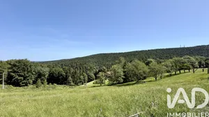 Terrain à Dabo (57850)
