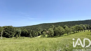 Terrain à Dabo (57850)
