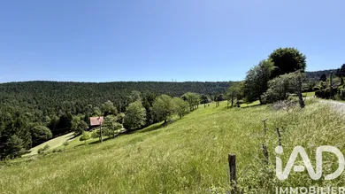 Terrain à bâtir à Dabo (57850)