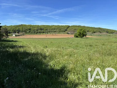 Terrain à Montignac-Lascaux (24290)