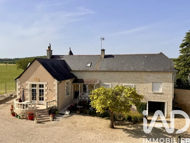 Maison 7 pièces 314 m² · à Lerné · 313,9 m² · 478 000 €
