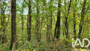 Leisure land in Moret-Loing-et-Orvanne (77250)