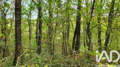 Leisure land in Moret-Loing-et-Orvanne (77250)