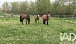 Haras à Fère-en-Tardenois (02130)