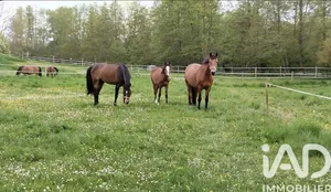 Haras à Fère-en-Tardenois (02130)