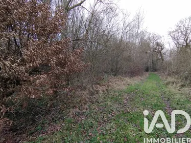 Terrain à bâtir à Vézilly (02130)