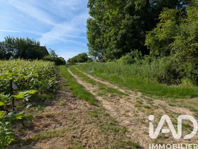 Terrain à Pouillon (51220)