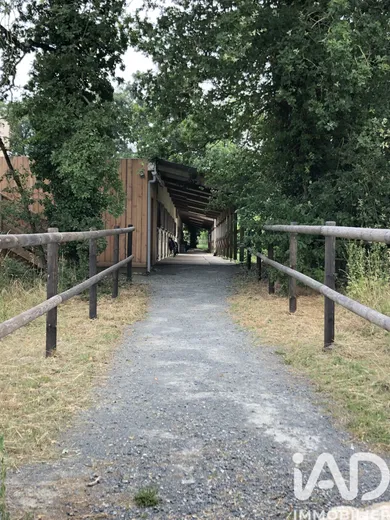 Haras à Verrie (49400)