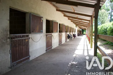 Haras à Verrie (49400)