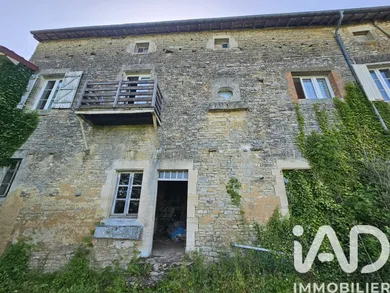 Village house in Dommartin-le-Franc (52110)