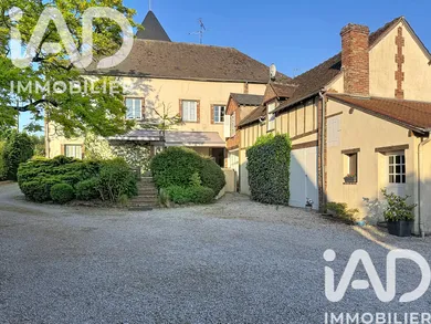 Village house in Melleroy (45220)