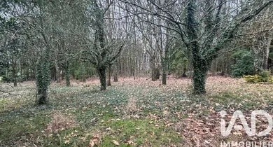 Longère à Yvré-le-Pôlin (72330)