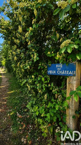 Longère à Sassetot-le-Mauconduit (76540)