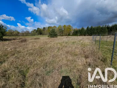 Terrain à bâtir à Montereau (45260)