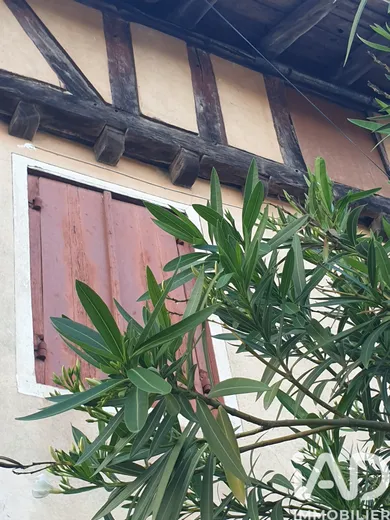 Maison à Buzet-sur-Baïse (47160)