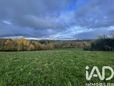 Terrain agricole à Neuvic-Entier (87130)
