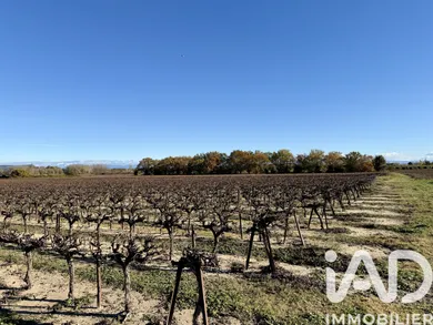 Terrain agricole à Laudun-l'Ardoise (30290)