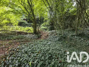 Terrain à bâtir à Saint-Antoine-du-Rocher (37360)