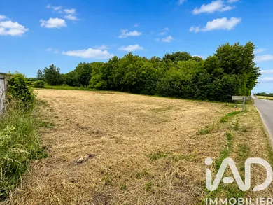 Building plot in Jouy (89150)