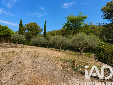 Land in Bandol (83150)