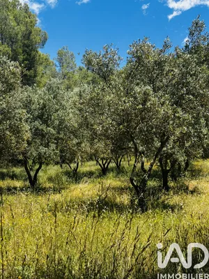 Farm land in Callas (83830)