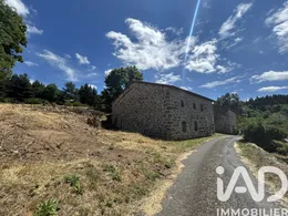 House in Vielprat (43490)