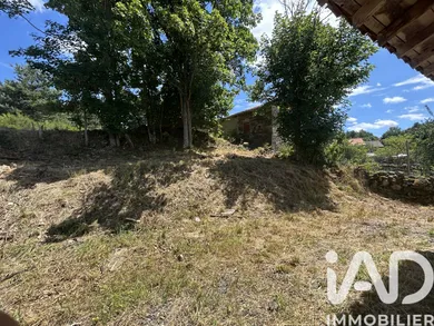 House in Vielprat (43490)