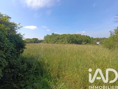 Maison de campagne à Saint-Denis-du-Payré (85580)