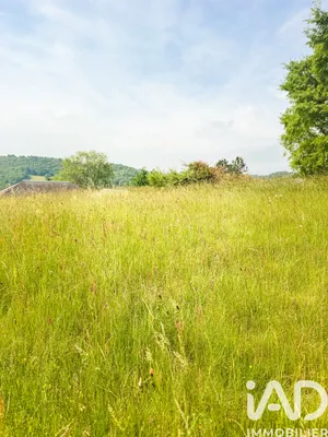 Terrain à Conques-en-Rouergue (12320)